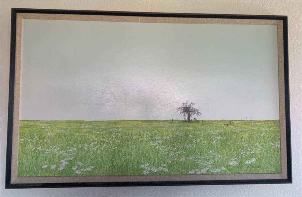 Wide meadow landscape, framed